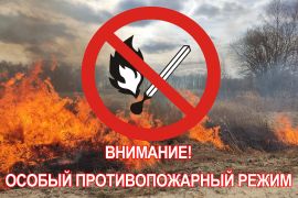 Об установлении особого противопожарного режима на территории Томской области