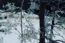3 декабря – День юриста
